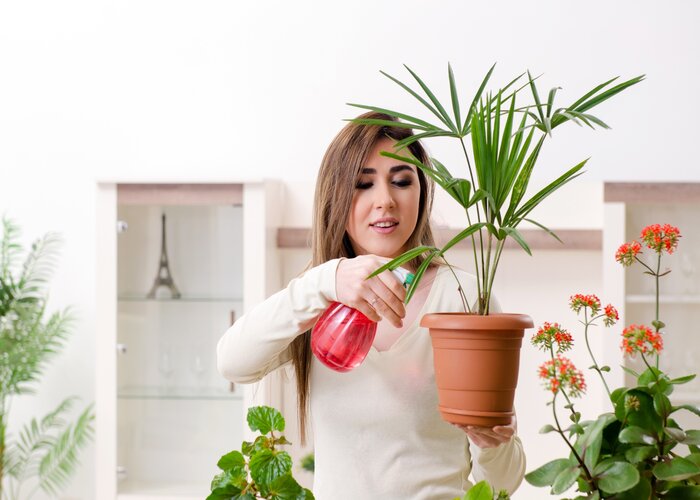 Bacs et pots de fleurs : quels sont les critères à considérer lors d’un achat ?
