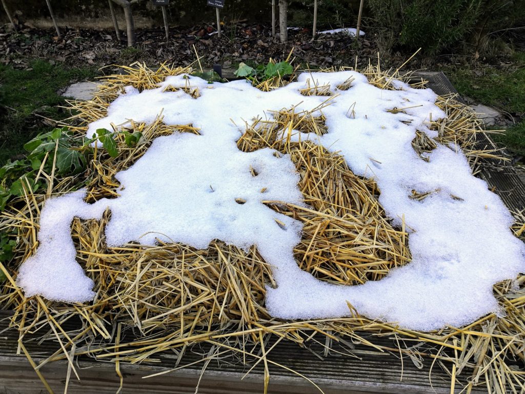 Comment entretenir son potager en hiver ?